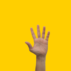 Raise your hand